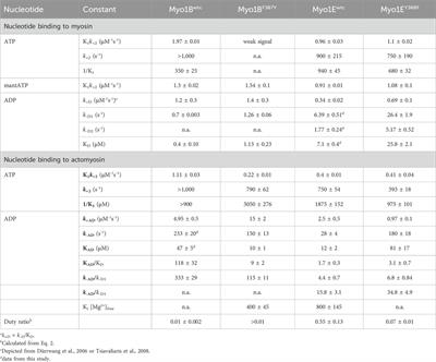 Switch-2 determines Mg2+ADP-release kinetics and fine-tunes the duty ratio of Dictyostelium class-1 myosins
